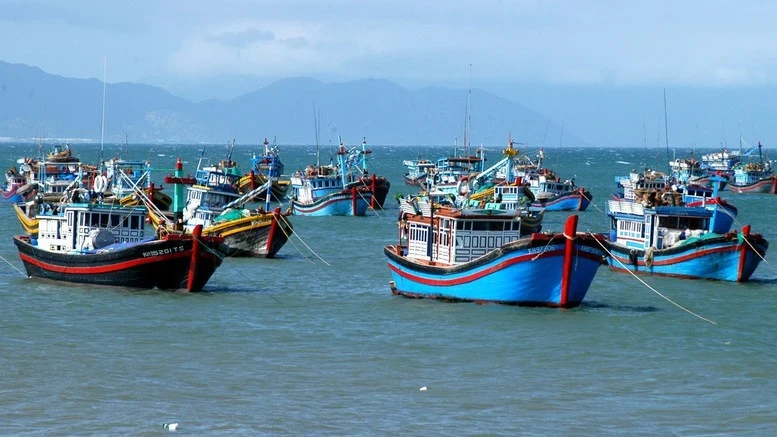 Вьетнамские рыболовецкие суда (Фото: baochinhphu.vn)