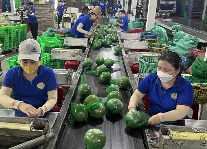 Восстановление экспорта способствует экономическому росту Вьетнама - Иллюстративное изображение (Фото: Интернет)