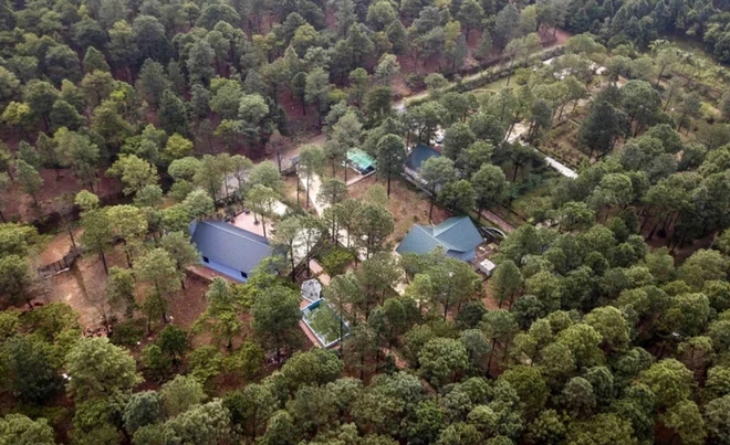 Площадь лесов Ханоя достигла 5,59%, в основном в уeздах Бави, Шокшон, Мидык, Чонгми, Куокоай, Тхатьтхат и в гордке Шонтэй. (Фото: ВИA)