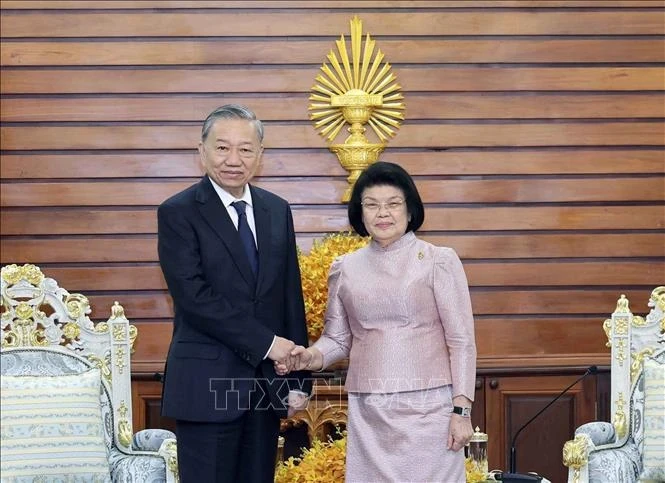 Президент Вьетнама То Лам (слева) и председатель Национальной ассамблеи Камбоджи Кхуон Судары. (Фото: ВИA)