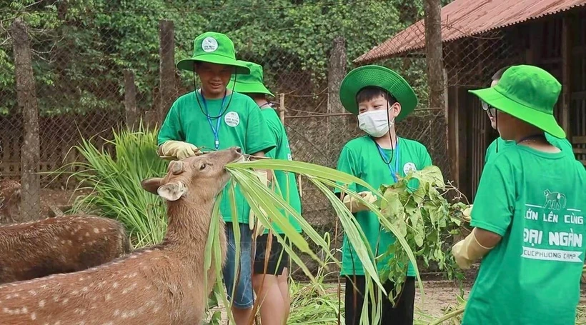 Молодые люди участвуют в программе "Cuc Phuong Camp 2024" в национальном парке Кукфыонг в северной провинции Ниньбинь (Фото: ВИA)