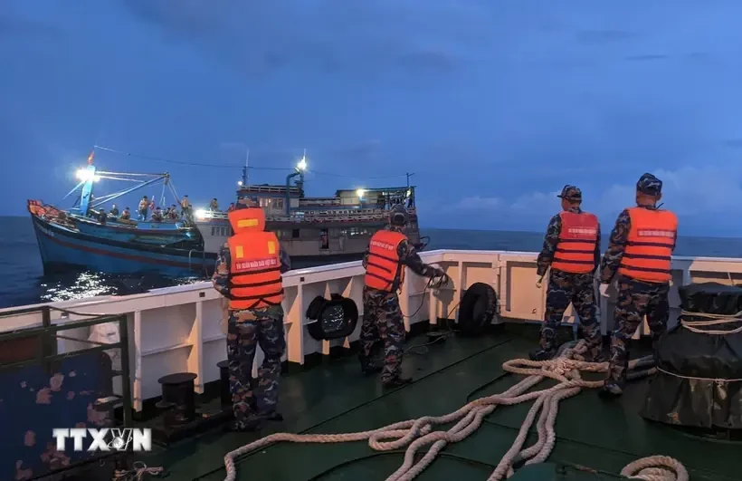 El buque 468 de la Región Naval 4 remolcó un barco pesquero con el eje del timón roto a la isla de Song Tu Tay (Fuente: VNA) 