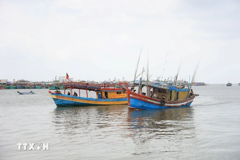 La provincia survietnamita de Kien Giang intensifica las acciones en la lucha contra la pesca ilegal