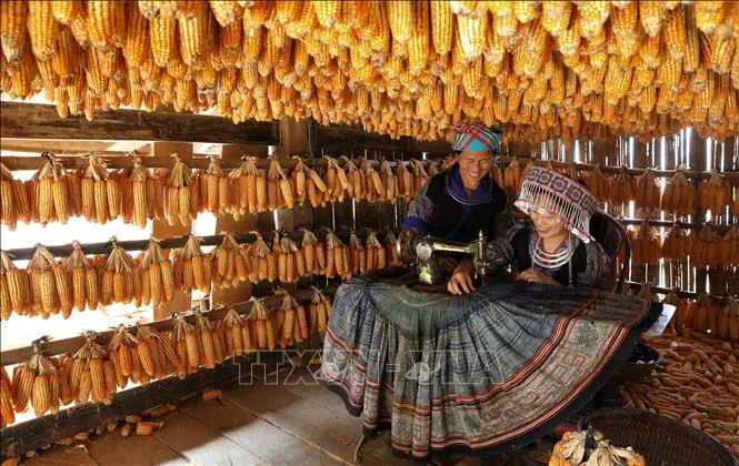 La casa de maíz Mang Mu, en la comuna de Mo De, distrito de Mu Cang Chai, se inspira en las actividades cotidianas de la etnia Hmong (Fuente: VNA)