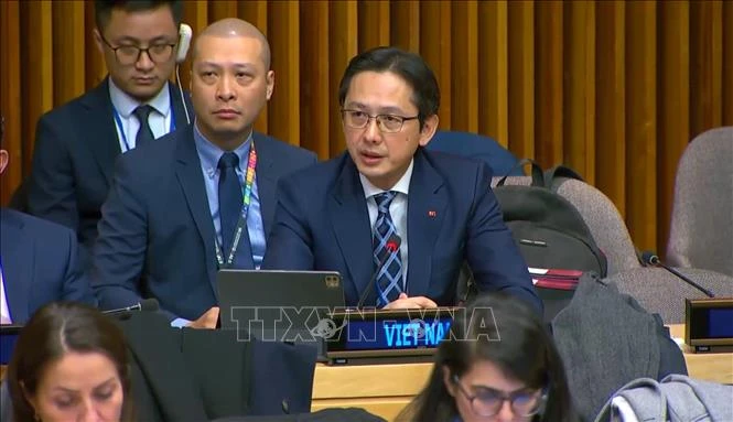 El viceministro de Relaciones Exteriores vietnamita Do Hung Viet ratificó el firme compromiso de su país con los esfuerzos de ayuda humanitaria (Fuente: VNA)