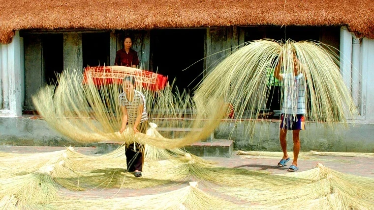 Le métier de tissage du carex de Kim Son. Photo: Centre d’information étrangère de la province de Ninh Binh