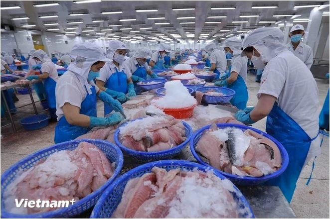 Des ouvriers transforment des produits aquatiques destinés à l’exportation. Photo : VietnamPlus