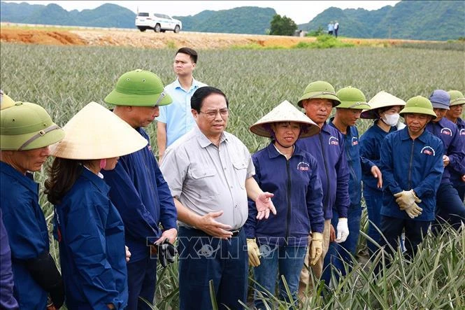 Le Premier ministre Pham Minh Chinh (4e à partir de la gauche) visite la ferme d’ananas de Dông Giao de Doveco, à Ninh Binh, le 28 mai. Photo : VNA