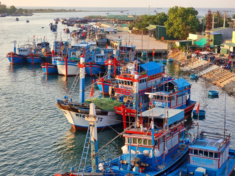 Le taux de bateaux de pêche équipés d’équipements de surveillance des navires à Ninh Thuân atteint 99,7%, dont 100% mesurent 24 m ou plus. Photo : VNA