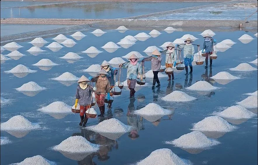 Les champs de sel de Sa Huynh, dans la province de Quang Ngai, sont les plus importants au Centre. Source : topquangngai.vn