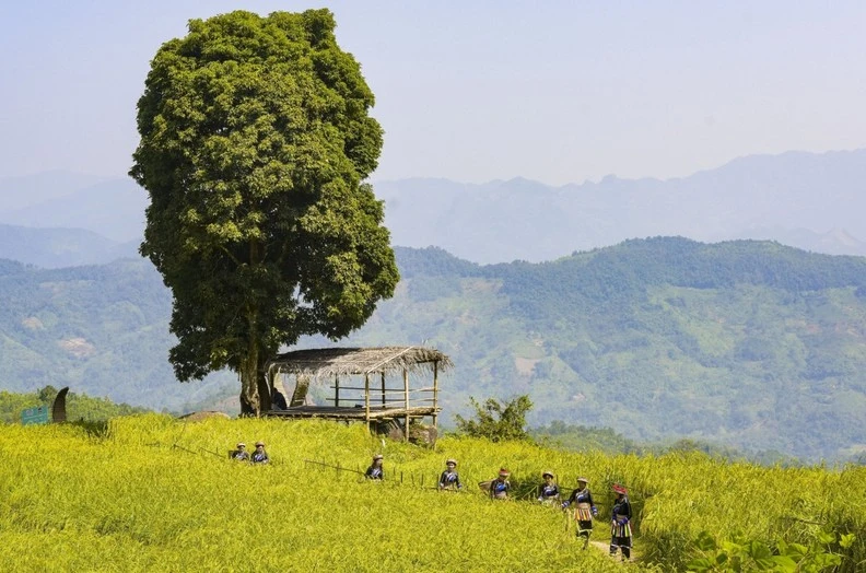 Le village de Phiêng Phàng attire les touristes avec de beaux paysages. Photo : Petrotimes
