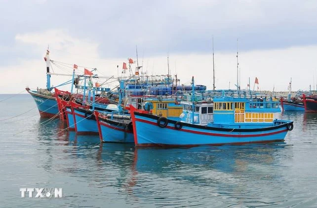 La lutte contre la pêche INN n’est qu’une étape nécessaire pour protéger les ressources halieutiques et l'économie maritime et non pas seulement pour répondre aux exigences de la CE. Photo: VNA