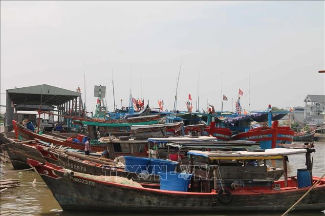 Des bateaux de pêche mouillant au port de pêcge de Dinh An, dans la province de Trà Vinh. Photo: VNA