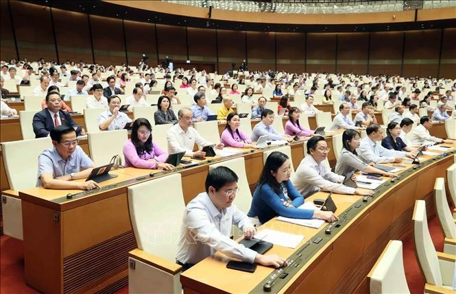 Les députés de l’Assemblée nationale votent sur la Loi sur la capitale (amendée) Photo : VNA