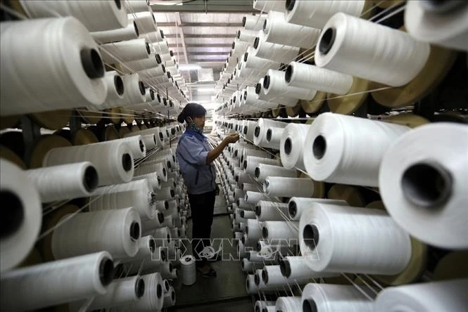 Ligne de production de fibres de KSA Polymer JSC Hanoi, financée par la République de Corée, dans le parc industriel de Thuy Van, dans la province de Phu Tho. Photo : VNA