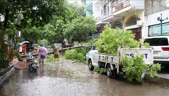 Les forces compétentes commencent à nettoyer les dégâts dans la ville de Ha Long après le passage du typhon Prapiroon. Photo : VNA