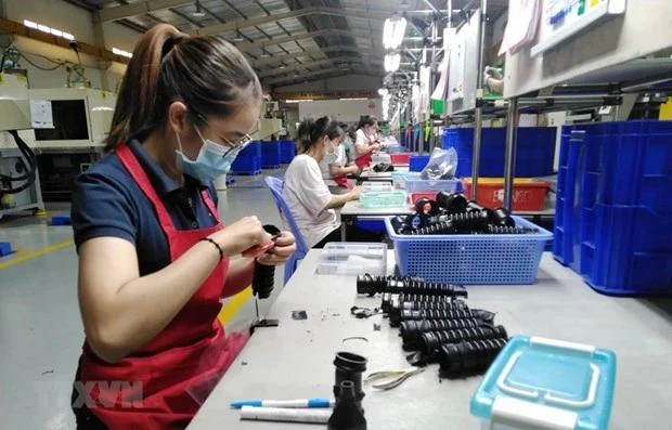 Fabrication de composants d'amortissement en caoutchouc de haute technologie dans l'usine de la SARL Tuong Lai, à Dông Nai. Photo : VNA