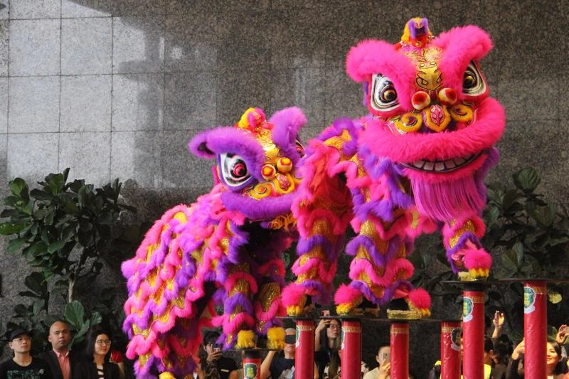 La danse de la licorne, du lion et du dragon, souvent pratiquée par les Hoa, est un mélange de danse, d’arts martiaux et de passion. Photo: vneconomy.vn