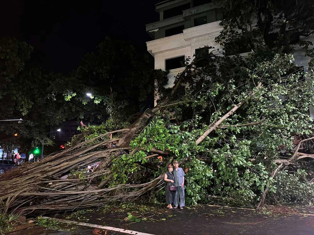 Ce vieil homme et sa femme font leurs adieux au banian qu’il avait planté en 1972, rue Phung Hung, à Hanoi. Avec le vide qu’a laissé l’arbre après le passage du typhon Yagi, c’est tout un pan de souvenirs qui s’écroule. Photo : laodong.vn