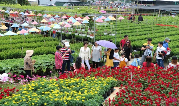 Le bonheur est dans les champs de fleurs. Photo: dulich.dongthap.gov.vn