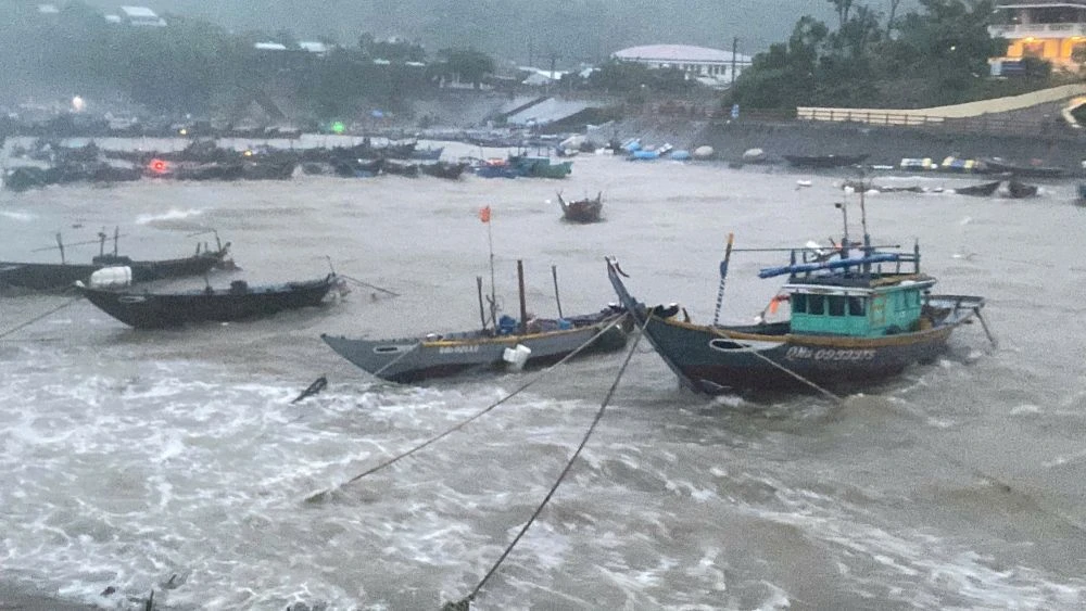 Bateaux se mettant à l’abri du typhon Trami sur les îles Chàm, ville de Hôi An. Photo: VNA