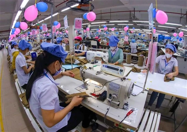 Des ouvriers au travail dans une entreprise de confection. Le taux de localisation de nombreux secteurs industriels clés, tels que l’habillement, est faible, dépendant fortement de l’importation de matières premières. Photo : VNA