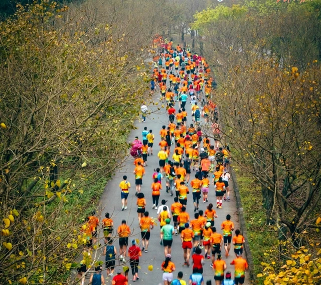 Les coureurs participent au marathon de Tràng An 2023. Photo: VNA