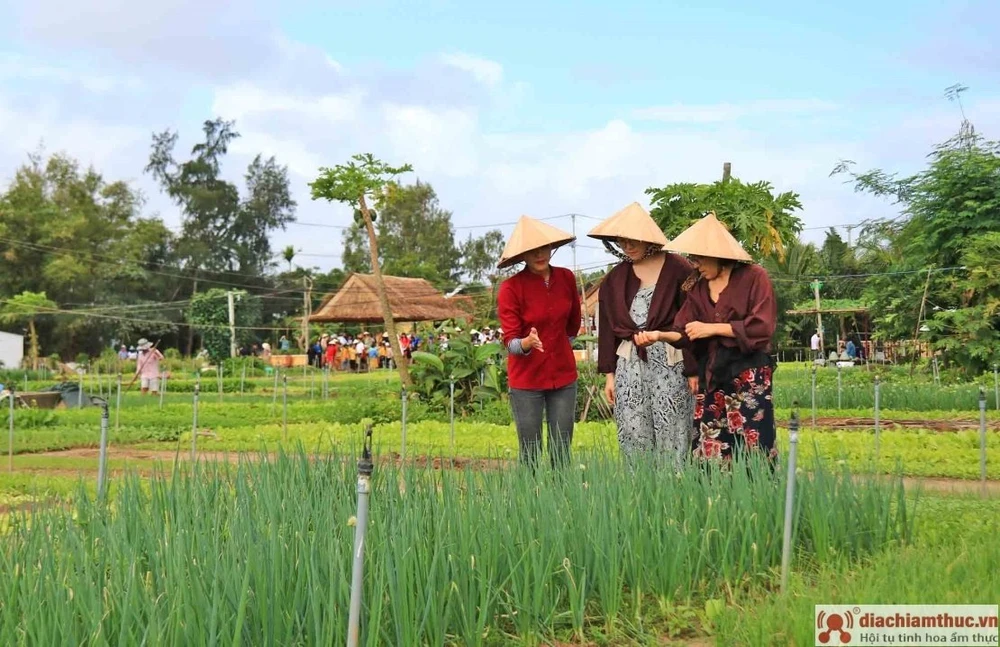 Le village maraîcher de Trà Quê parmi les meilleurs villages touristiques du monde