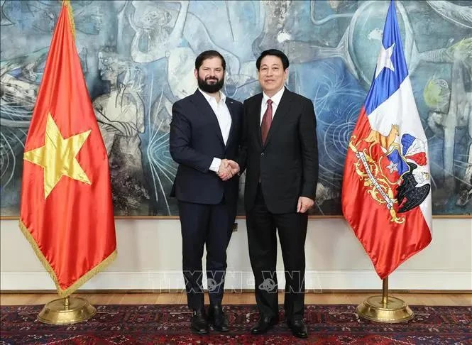 Le président vietnamien Luong Cuong (à droite) et son homologue chilien Gabriel Boric Font avant leur entretien, à Santiago, 11 novembre. Photo: VNA