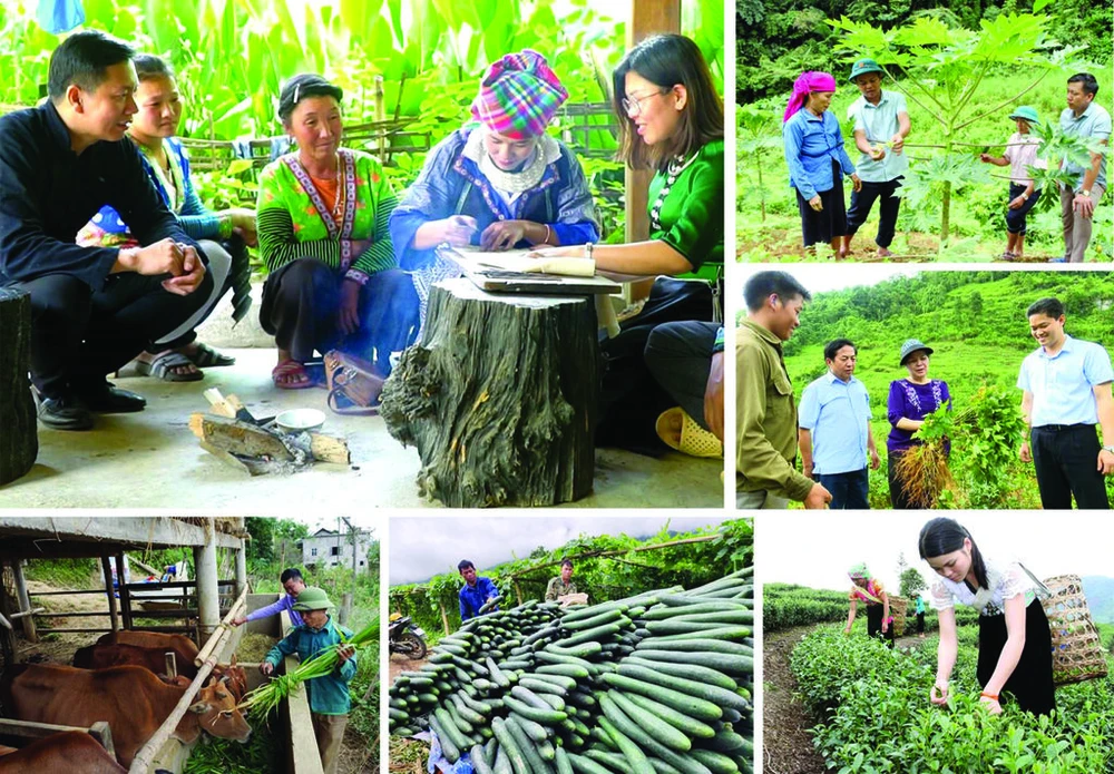 Le Programme cible national de réduction de la pauvreté a insufflé un nouveau dynamisme dans les zones rurales les plus reculées. Photo : VNA