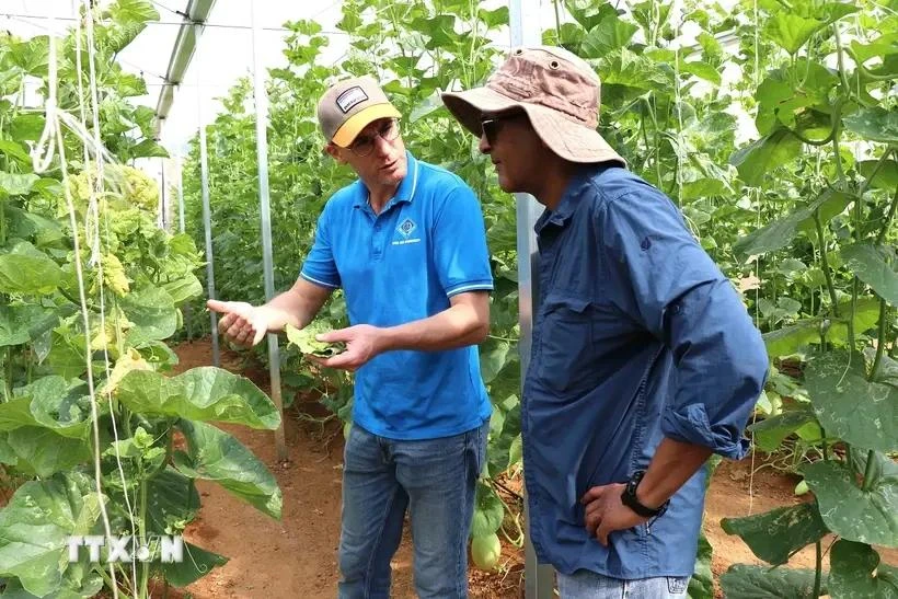 C’est pour mettre en lumière des solutions issues du terrain et de la science que le Cirad et Le Monde organisent lundi 25 novembre à Paris la conférence «Comment nourrir 10 milliards d’humains sans détruire la planète ?». Photo : VNA