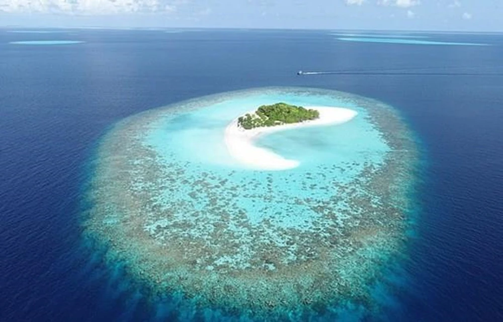 Coral Island in the Maldives (Source: dailymail.co.uk)