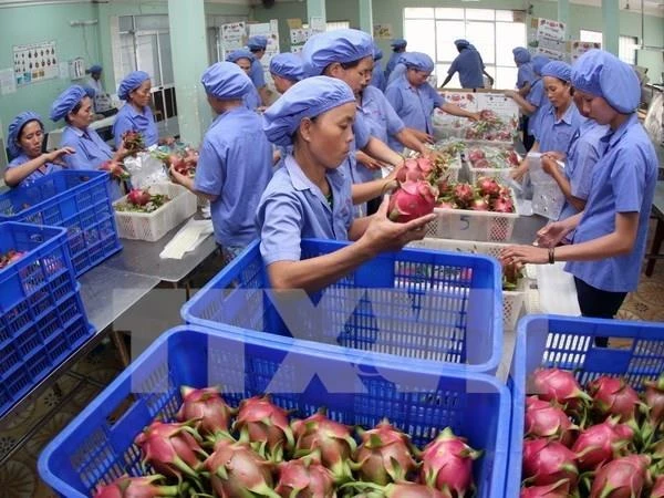 Veggie, fruit exports decrease slightly, reaching 2.3 billion USD