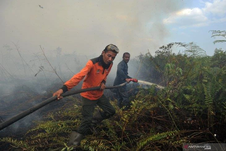 Nearly 19,000 fire hotspots identified in SEA, Papua New Guinea