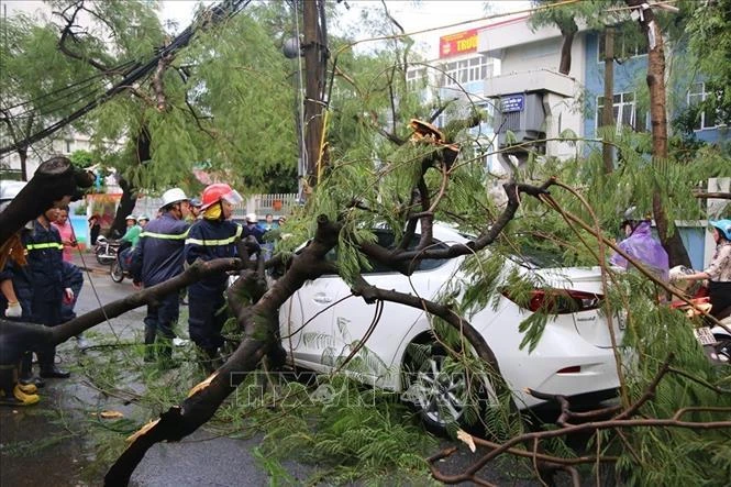 Storm Podul causes three deaths nationwide