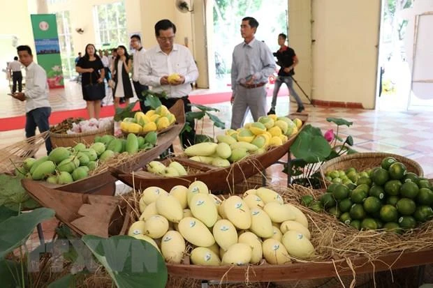 EU enhances inspections on Vietnam’s agricultural products from Sept 1