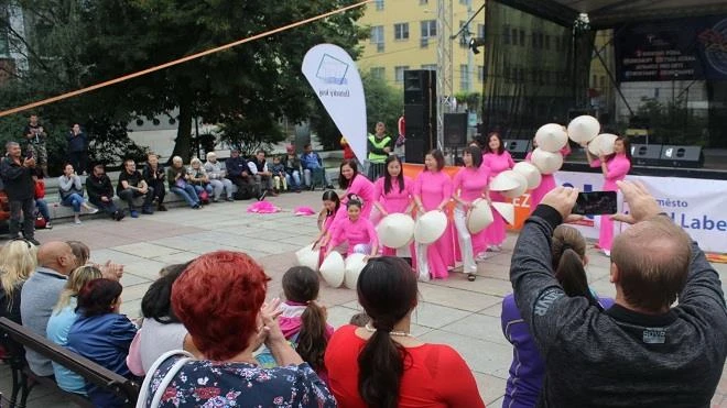Vietnamese expats in Czech Republic joins multicultural festival 