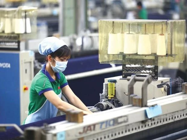 Inside an FDI factory in Binh Duong province. (Photo: baodautu.vn)