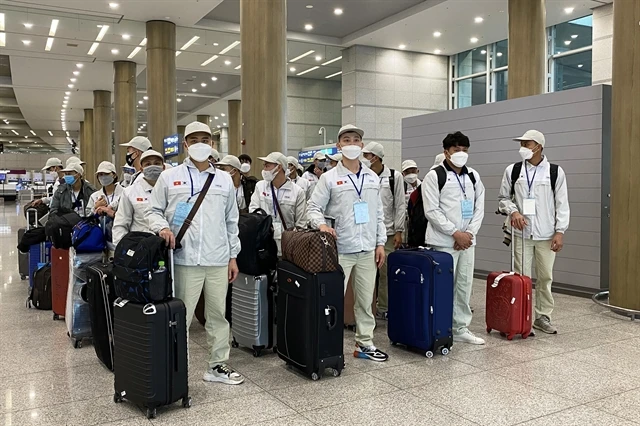 Number of Vietnamese labourers in RoK grows ảnh 1