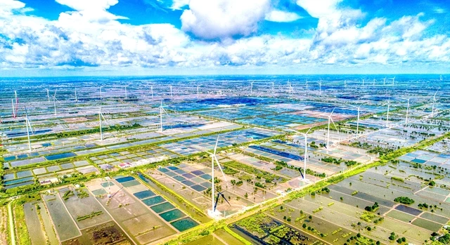 A wind farm in Bac Lieu province. Energy companies are planning investments in renewable energy to capture opportunities from energy transition. (Photo: VNA)