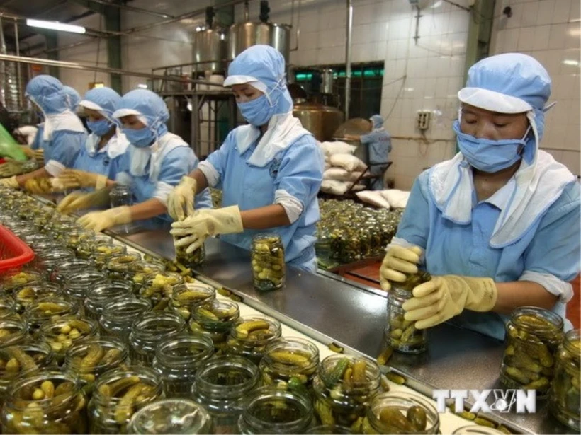 A processing line for export in Vietnam. (Photo: VNA)