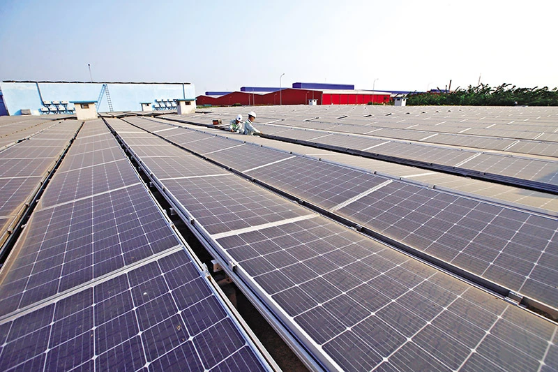 About 30-50% of the total garment-textile firms have installed their own rooftop solar power systems (Photo: baodautu.vn)