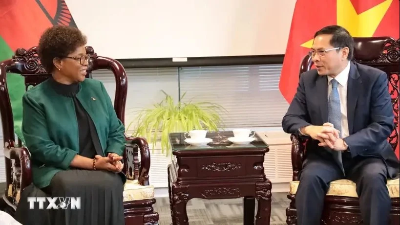 Deputy Prime Minister and Foreign Minister Bui Thanh Son (R) and Malawi’s Foreign Minister Nancy Tempo before the signing ceremony of a joint statement on establishment of diplomatic relations between Vietnam and Malawi (Photo: VNA)