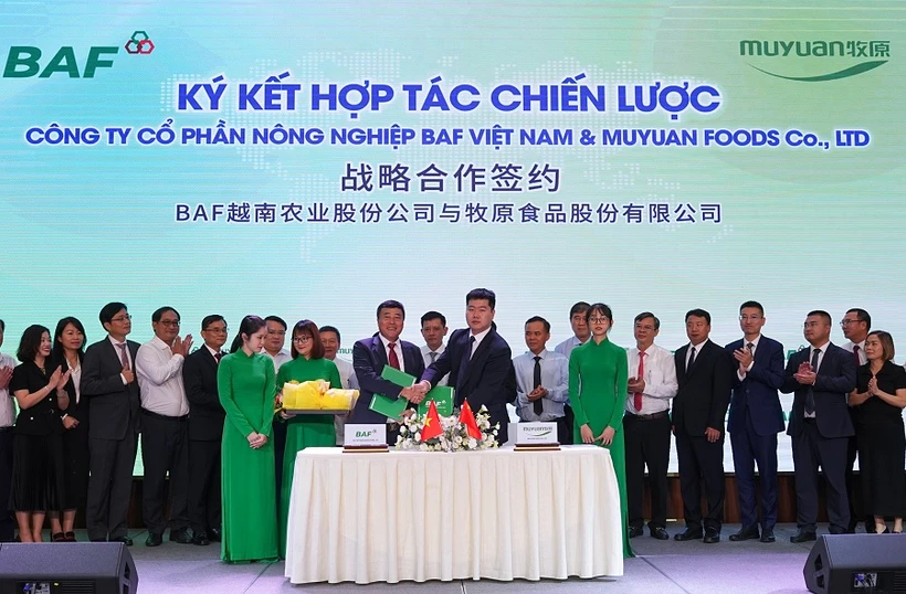 The signing ceremony of strategic partnership between The BAF Vietnam Agricultural Joint Stock Company and China's leading livestock group Muyuan Foods Co. Ltd. (Photo: baf.vn)