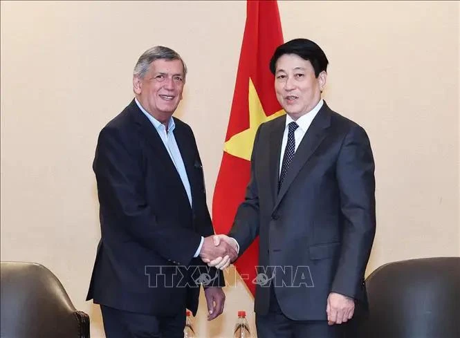 State President Luong Cuong (R) meets with President of the Communist Party of Chile Lautaro Carmona in Santiago on November 10 (local time) (Photo: VNA)