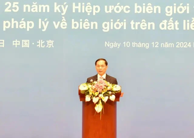 Deputy Prime Minister and Minister of Foreign Affairs Bui Thanh Son speaks at the event (Photo: VNA)