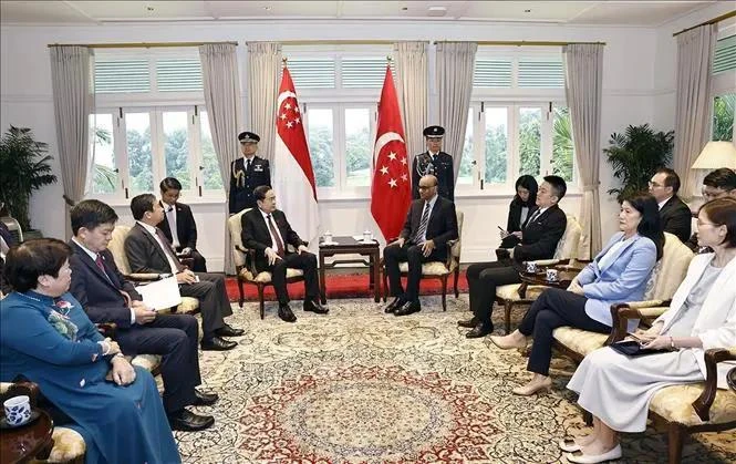 At the meeting between Vietnamese National Assembly Chairman Tran Thanh Man (L) and Singaporean President Tharman Shanmugaratnam on December 3. (Photo: VNA)