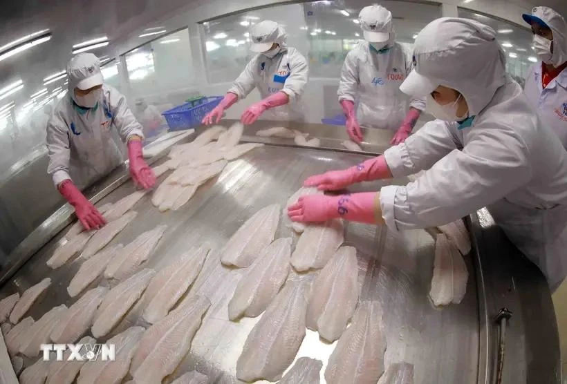 Tra fish processed for export (Photo: VNA)